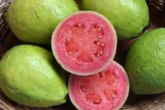 guayaba-verde